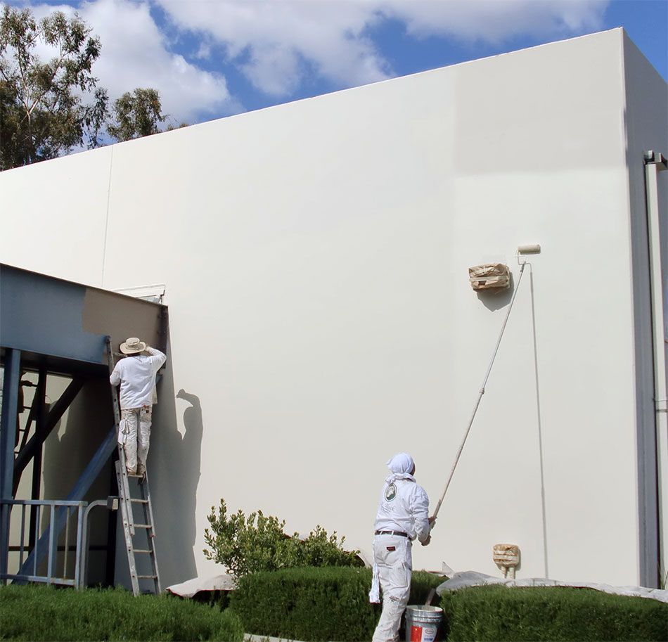 window installation services kingwood